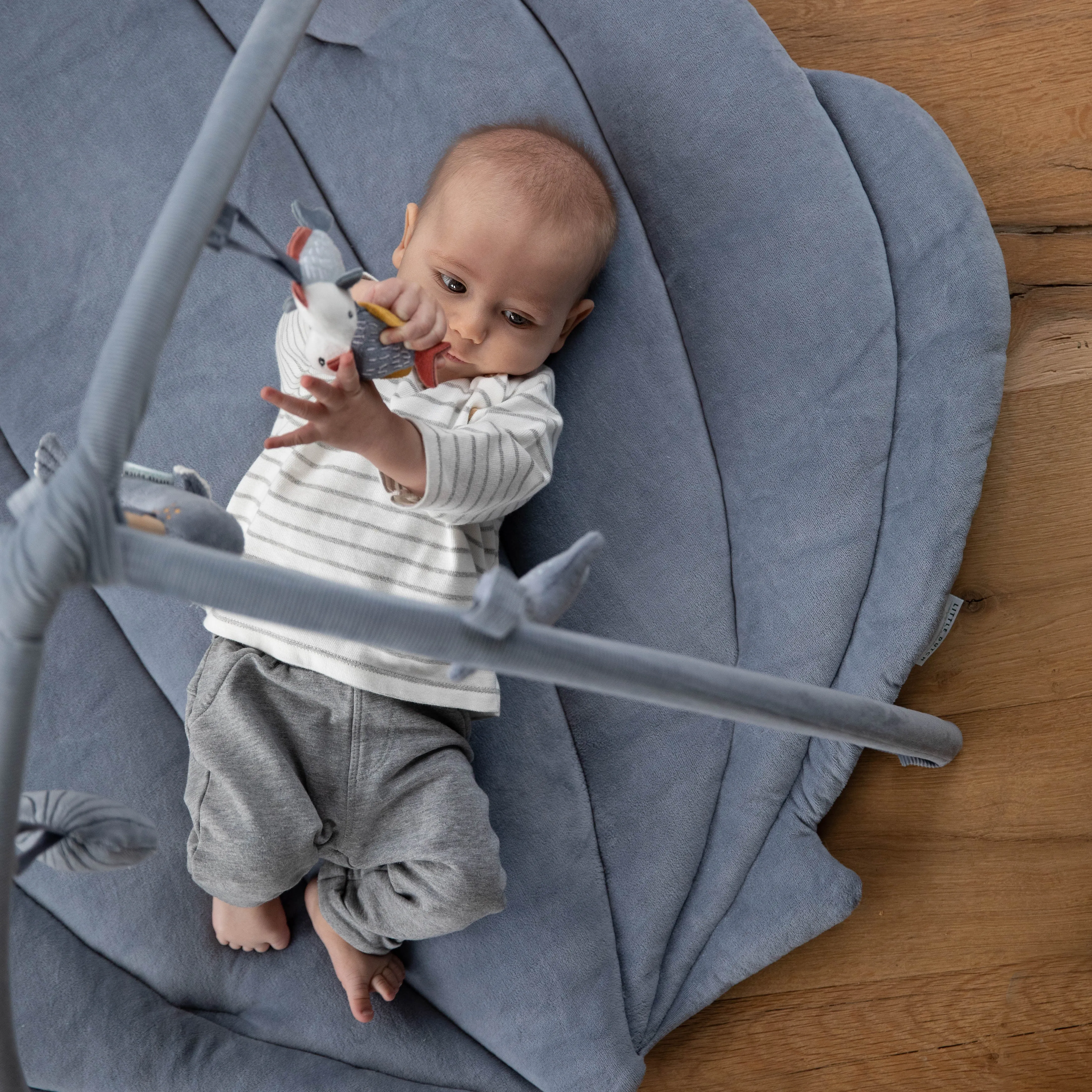 Activity Play Gym - Shell Blue