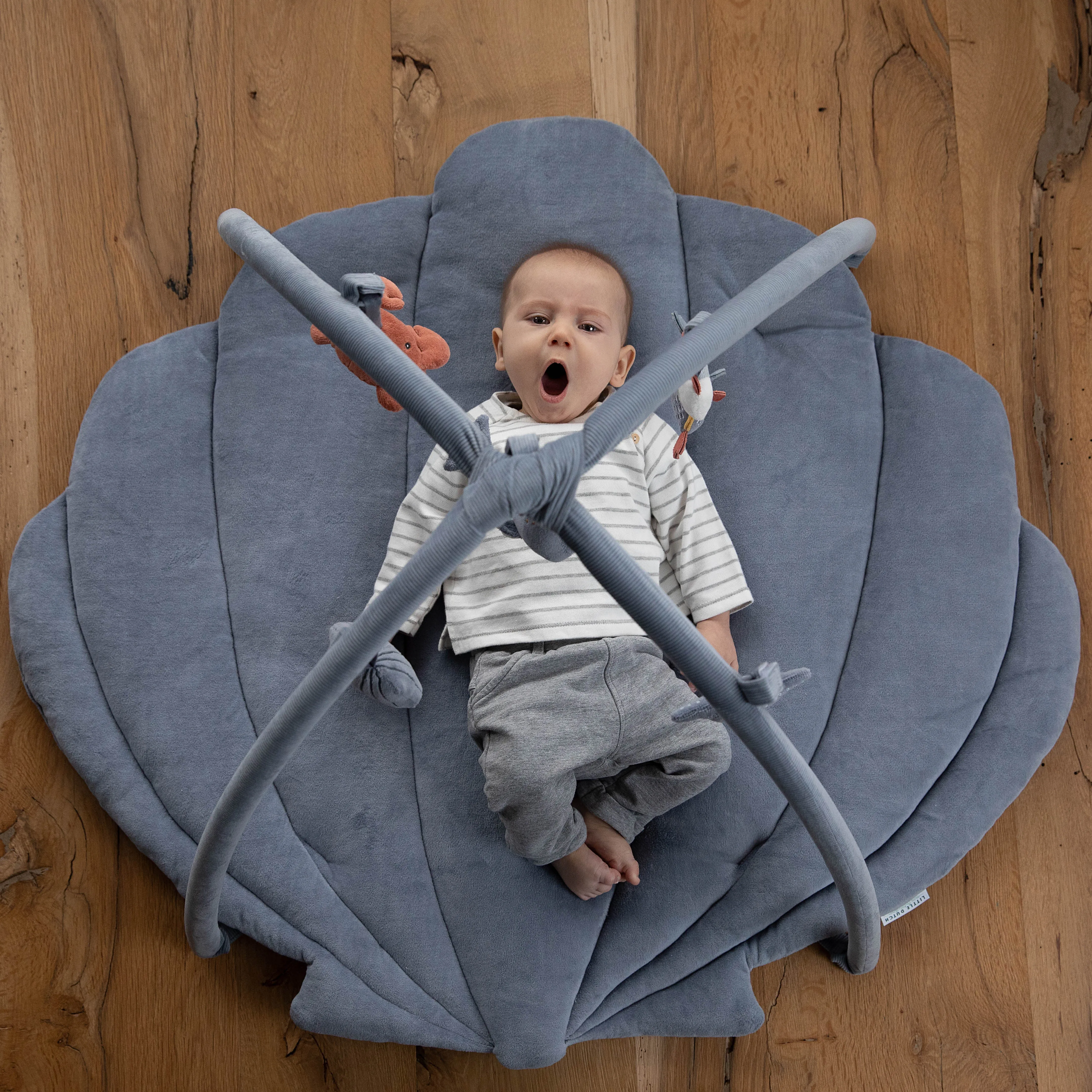 Activity Play Gym - Shell Blue