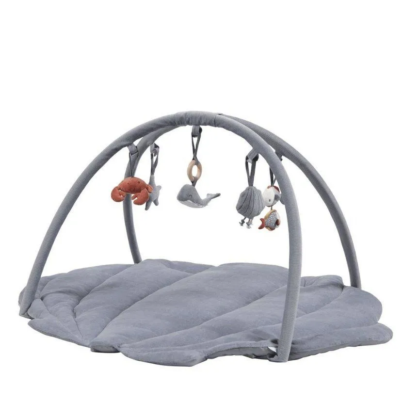 Activity Play Gym - Shell Blue