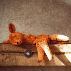 Cuddly Deer Toy/Heat Pack in Organic Cotton/Lambswool - Small