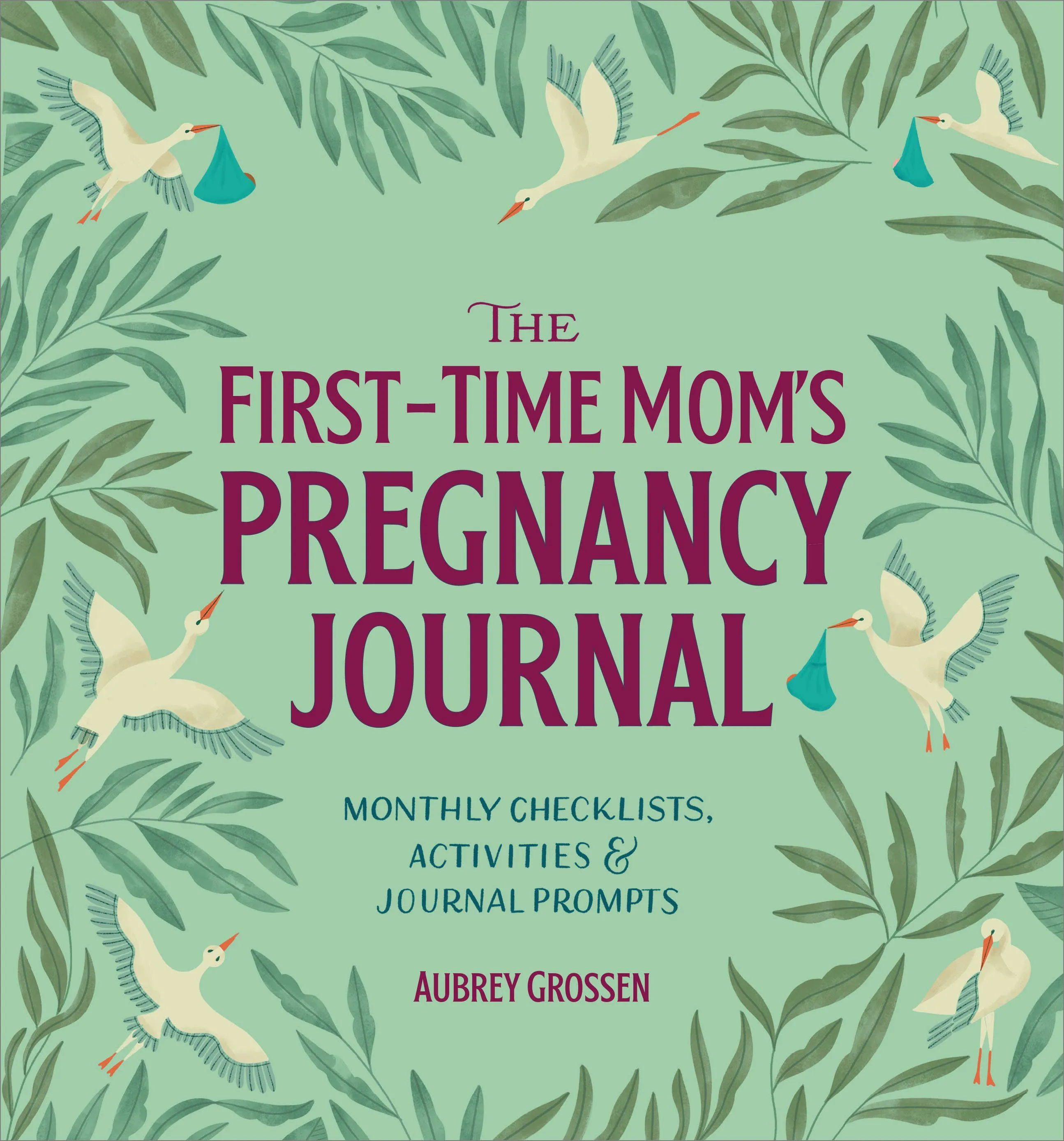 First-Time Mom's Pregnancy Journal