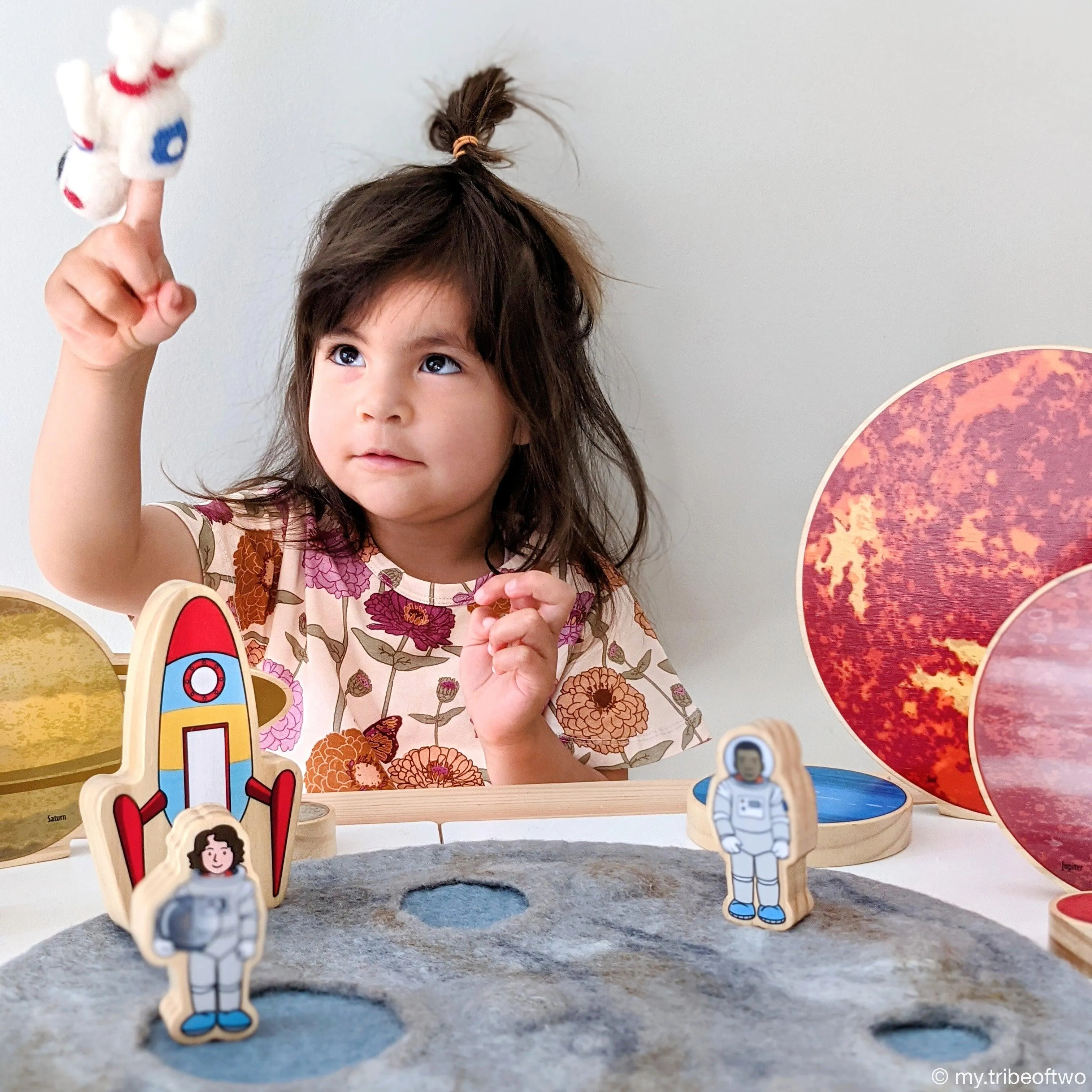 Moon Crater with Astronaut Space Playscape